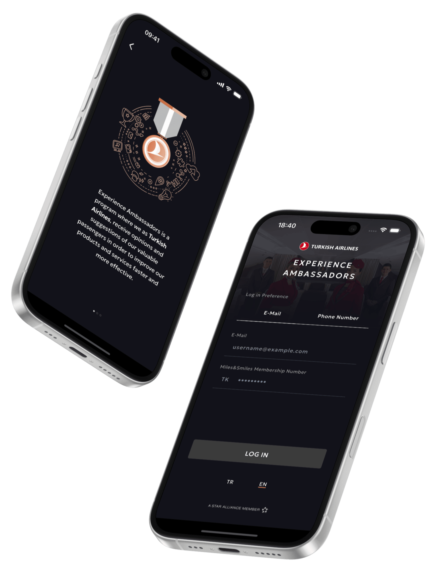 Experience Ambassadors